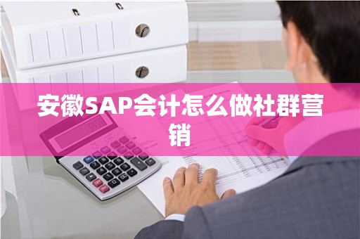 安徽SAP会计怎么做社群营销