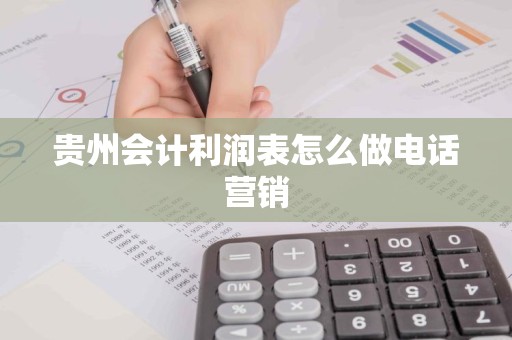 贵州会计利润表怎么做电话营销