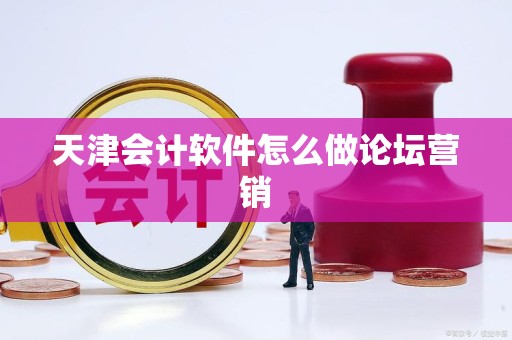 天津会计软件怎么做论坛营销