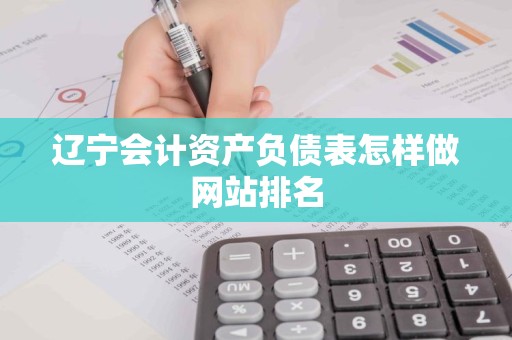 辽宁会计资产负债表怎样做网站排名