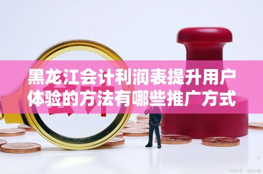 黑龙江会计利润表提升用户体验的方法有哪些推广方式有哪些