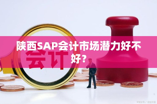 陕西SAP会计市场潜力好不好？