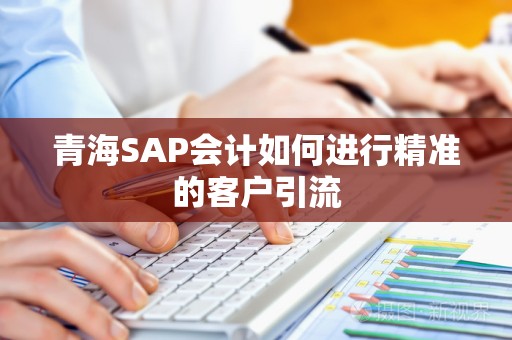 青海SAP会计如何进行精准的客户引流