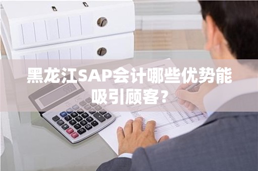 黑龙江SAP会计哪些优势能吸引顾客？