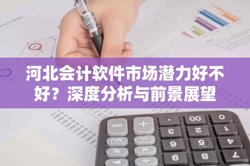 河北会计软件市场潜力好不好？深度分析与前景展望