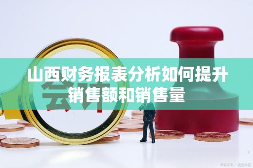 山西财务报表分析如何提升销售额和销售量