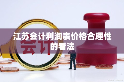 江苏会计利润表价格合理性的看法