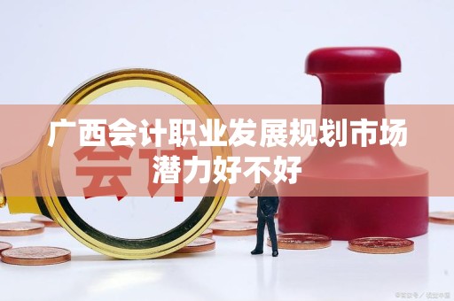 广西会计职业发展规划市场潜力好不好
