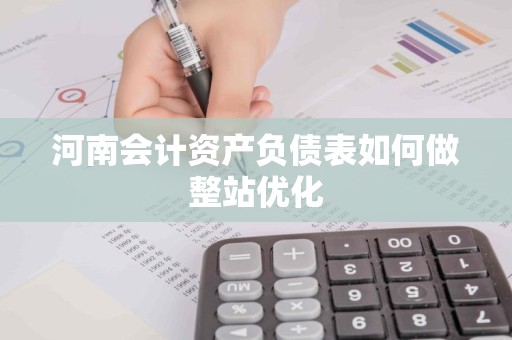 河南会计资产负债表如何做整站优化