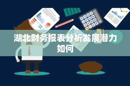 湖北财务报表分析发展潜力如何