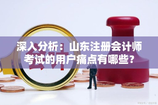 深入分析：山东注册会计师考试的用户痛点有哪些？