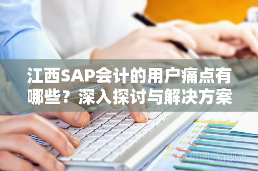 江西SAP会计的用户痛点有哪些？深入探讨与解决方案