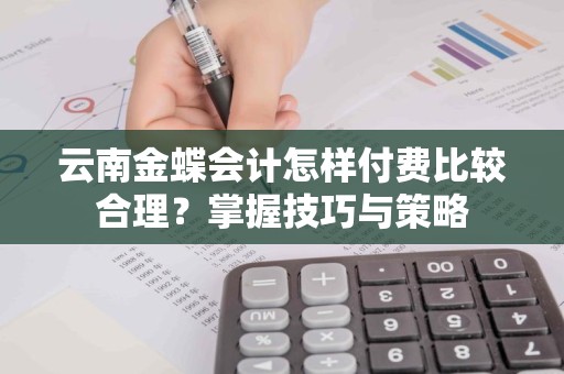 云南金蝶会计怎样付费比较合理？掌握技巧与策略