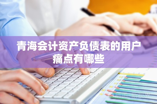 青海会计资产负债表的用户痛点有哪些