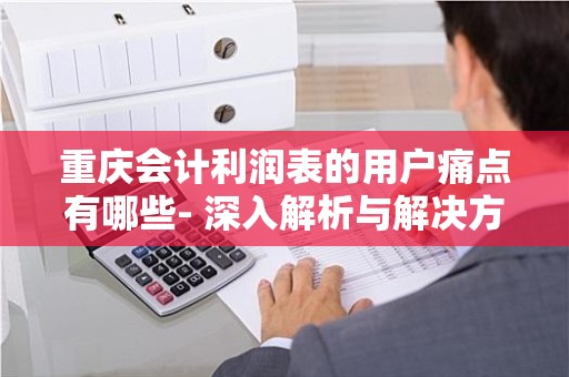 重庆会计利润表的用户痛点有哪些- 深入解析与解决方案