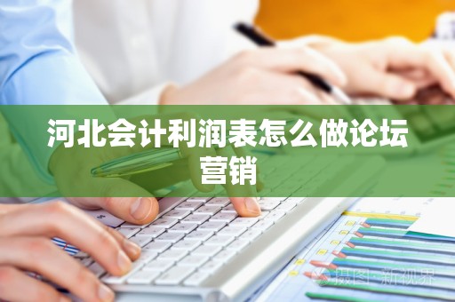 河北会计利润表怎么做论坛营销