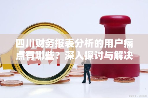四川财务报表分析的用户痛点有哪些？深入探讨与解决方案