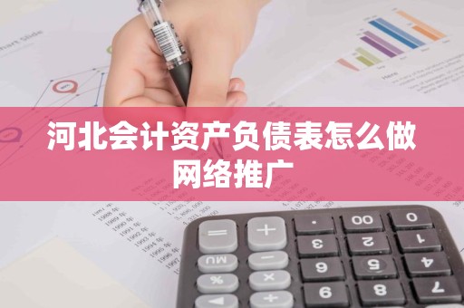 河北会计资产负债表怎么做网络推广