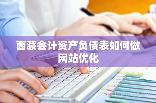 西藏会计资产负债表如何做网站优化