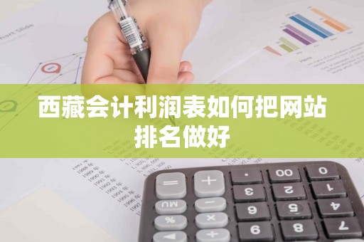 西藏会计利润表如何把网站排名做好