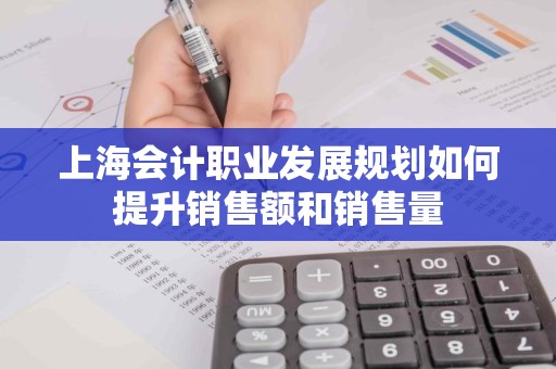 上海会计职业发展规划如何提升销售额和销售量
