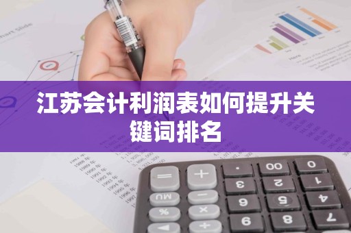 江苏会计利润表如何提升关键词排名