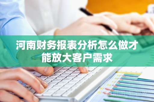 河南财务报表分析怎么做才能放大客户需求