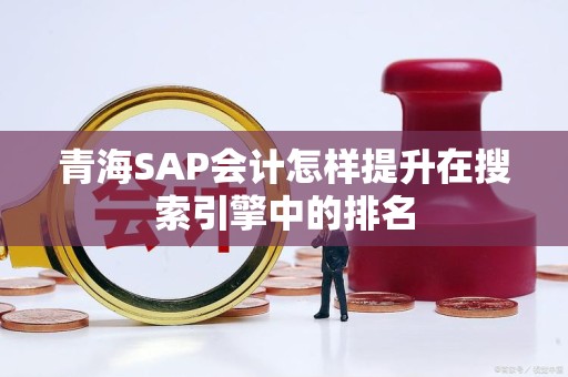 青海SAP会计怎样提升在搜索引擎中的排名