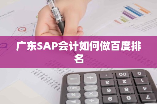 广东SAP会计如何做百度排名