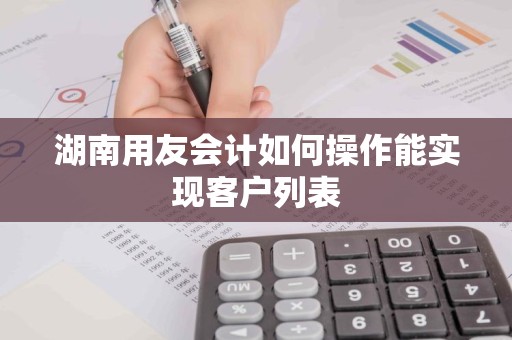 湖南用友会计如何操作能实现客户列表