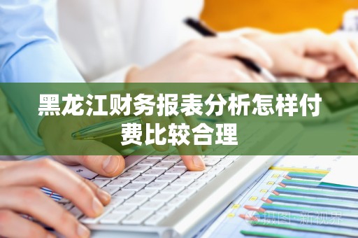 黑龙江财务报表分析怎样付费比较合理