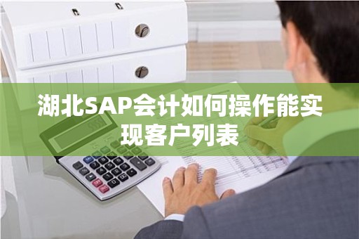 湖北SAP会计如何操作能实现客户列表