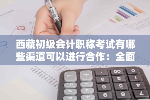 西藏初级会计职称考试有哪些渠道可以进行合作：全面解析与合作模式探讨