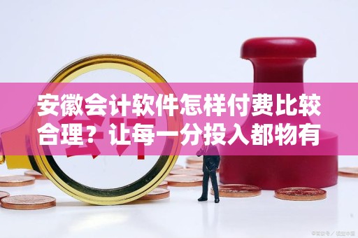 安徽会计软件怎样付费比较合理？让每一分投入都物有所值