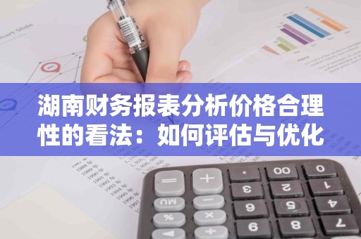 湖南财务报表分析价格合理性的看法：如何评估与优化
