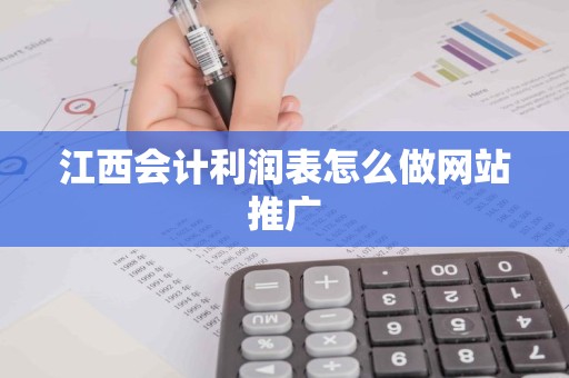 江西会计利润表怎么做网站推广