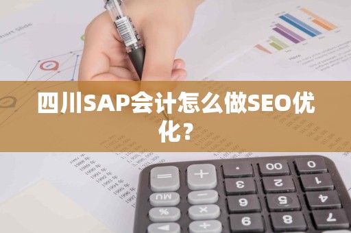 四川SAP会计怎么做SEO优化？