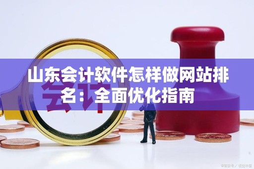 山东会计软件怎样做网站排名：全面优化指南