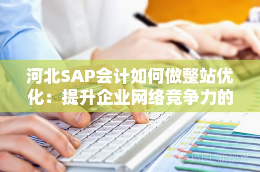 河北SAP会计如何做整站优化：提升企业网络竞争力的利器
