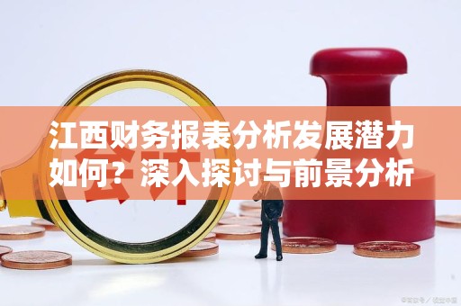 江西财务报表分析发展潜力如何？深入探讨与前景分析