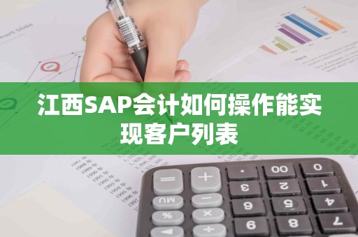 江西SAP会计如何操作能实现客户列表