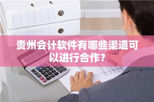 贵州会计软件有哪些渠道可以进行合作？