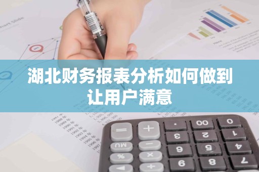湖北财务报表分析如何做到让用户满意