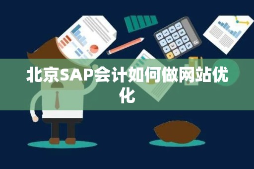 北京SAP会计如何做网站优化