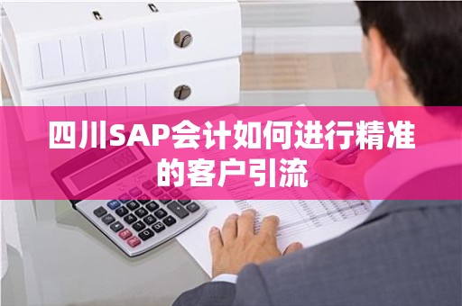 四川SAP会计如何进行精准的客户引流
