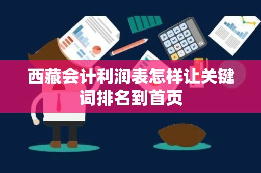 西藏会计利润表怎样让关键词排名到首页